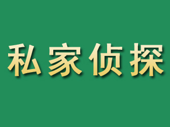 阳西市私家正规侦探